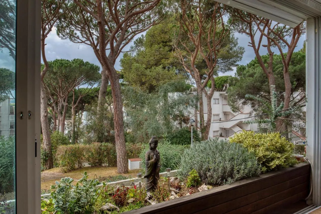 Apartment Lliris Apartament Amb Encant Per 4 Persones A 10 Minuts De La Platja I Del Centre De Platja D'Aro